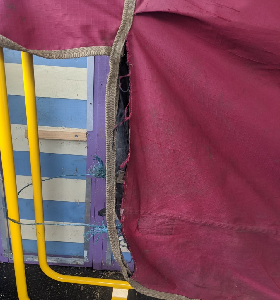 A detached binding on rear of turnout rug | Bobbins for Dobbins